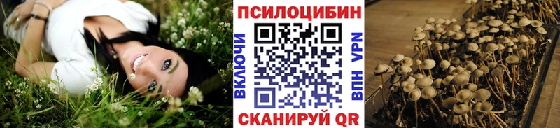 Псилоцибиновые грибы GOLDEN TEACHER  Ефремов 